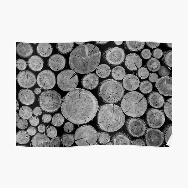 Swiss Wood Poster