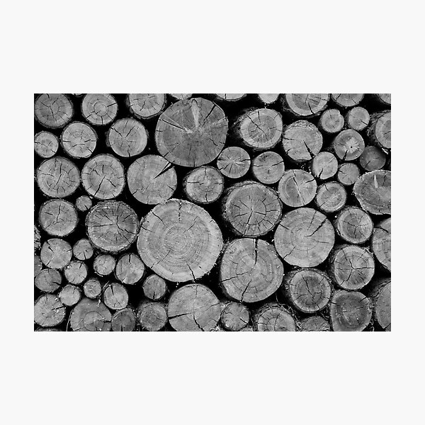 Swiss Wood Photographic Print