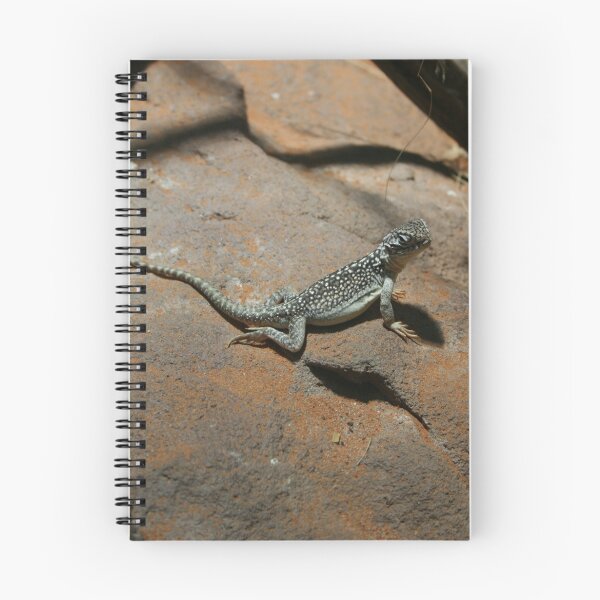 Item preview, Go Gecko Go designed and sold by Adara Rosalie.