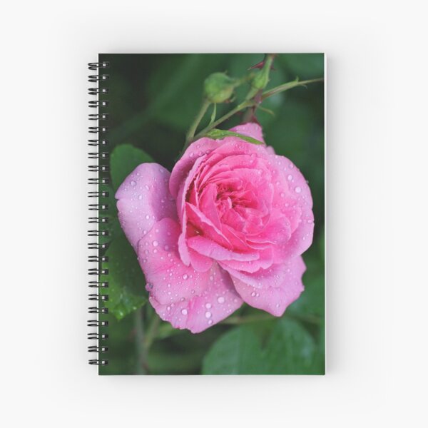 Gertrude Jekyll Rose Spiral Notebook