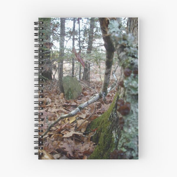 Item preview, Life and Death (Nature Reclaiming an Old Cemetery) designed and sold by Cari Moore.