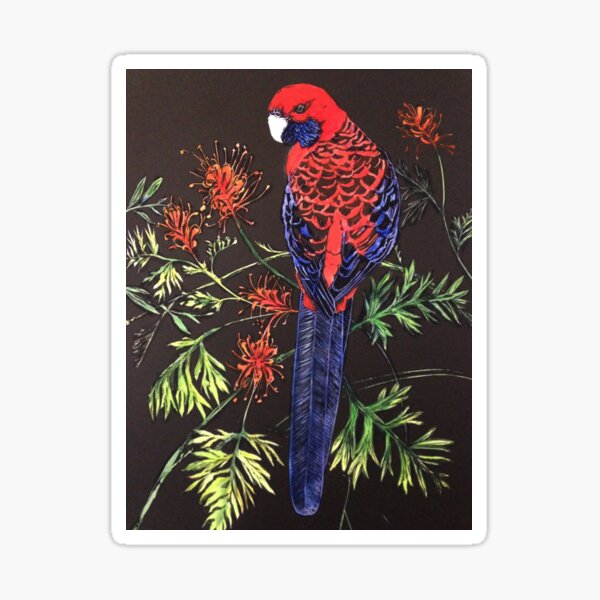 Crimson Rosella Sticker