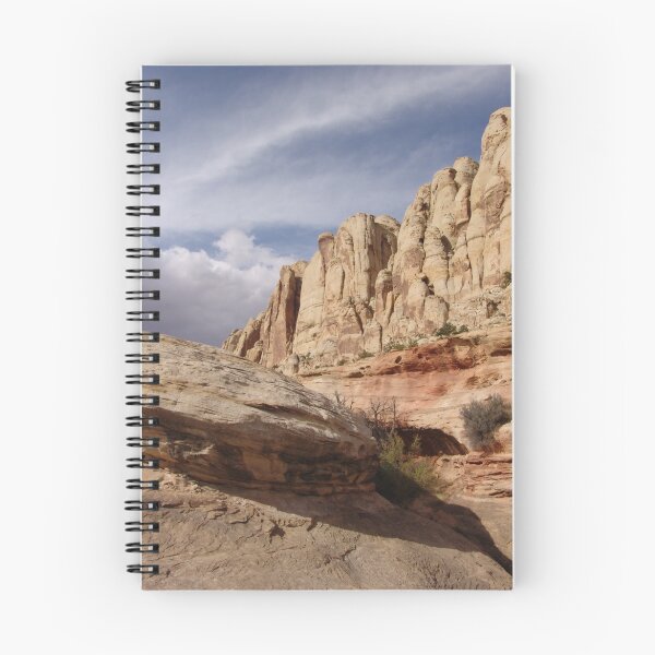 Item preview, Towering Capitol Reef designed and sold by OM 2010.