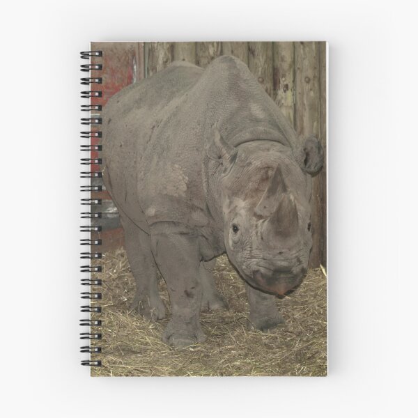 Item preview, RHINO: Chester Zoo designed and sold by AnnDixon.