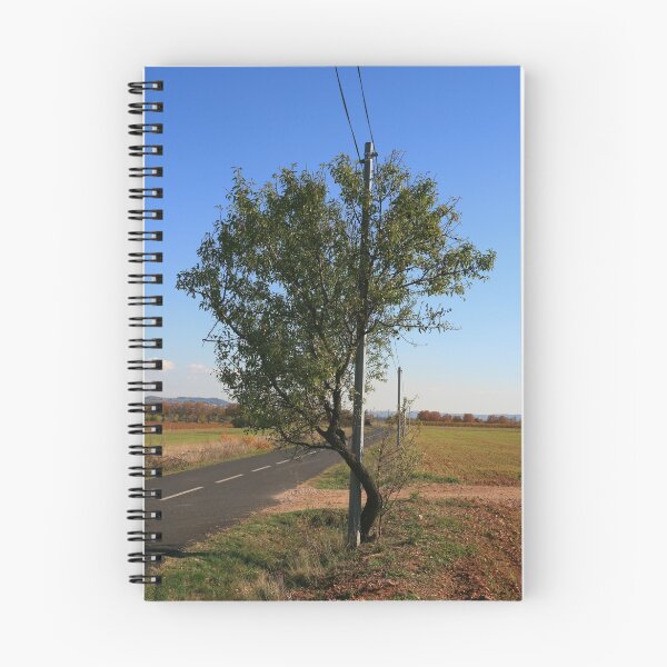 Item preview, Tree and telegraph pole French country road designed and sold by Paul Pasco.