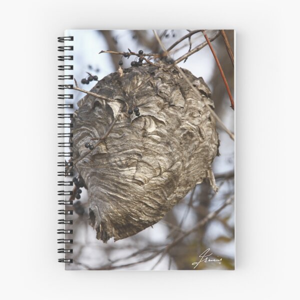 Item preview,  A Major Buzz  designed and sold by DigitallyStill.
