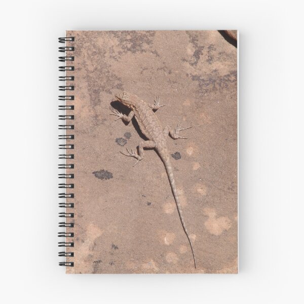 Item preview, Camouflaged designed and sold by OM 2010.