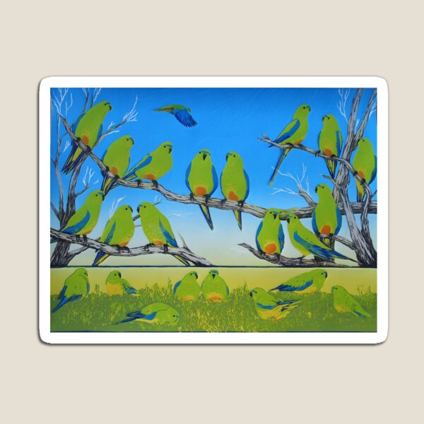 Orange Bellied Parrot Magnet