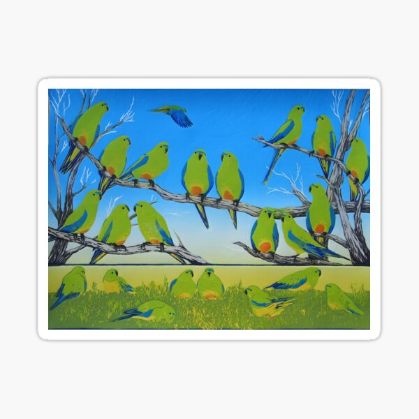 Orange Bellied Parrot Sticker