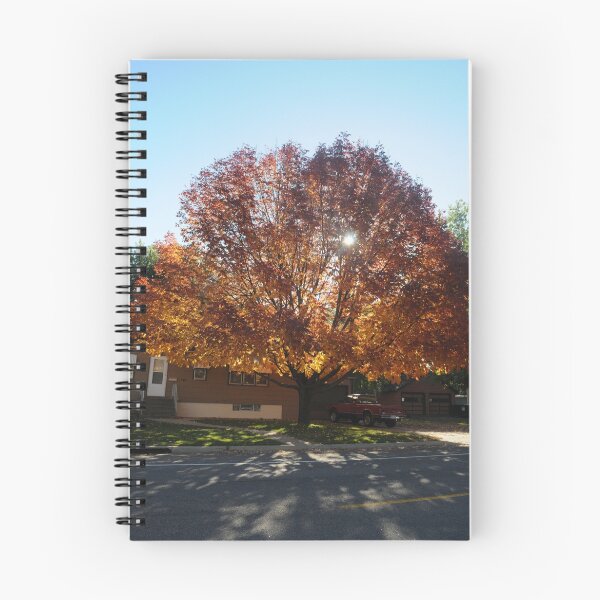 Item preview, Fall Morning Tree designed and sold by bluefishrun.