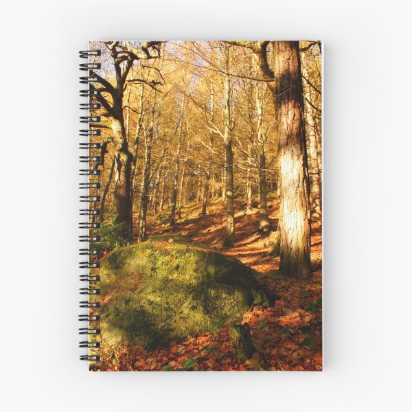 Item preview, Autumn in the woods designed and sold by Andy Beattie.