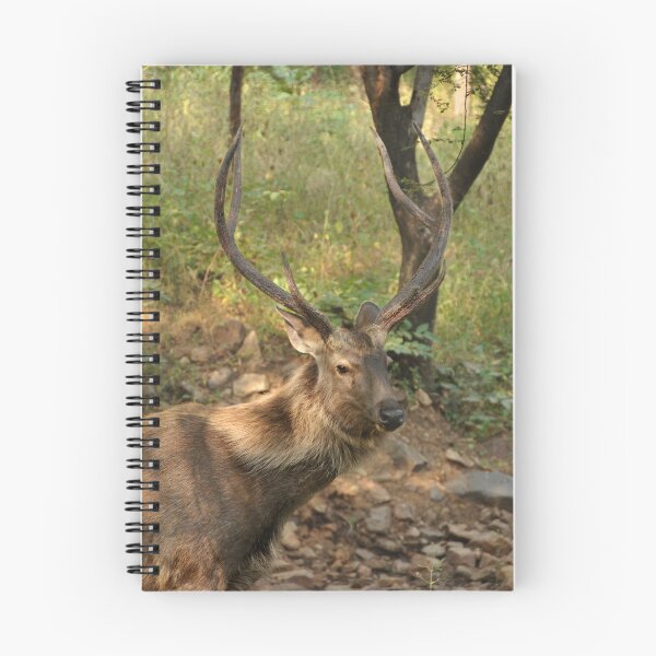 Item preview, Male Sambar Deer designed and sold by Catherine Ames.