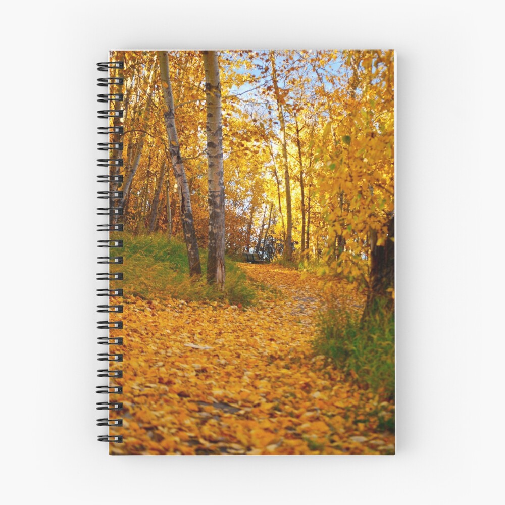 Item preview, Spiral Notebook designed and sold by faithroxy.