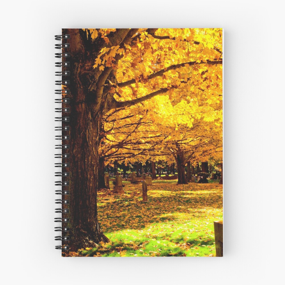 Item preview, Spiral Notebook designed and sold by jaypwhite.