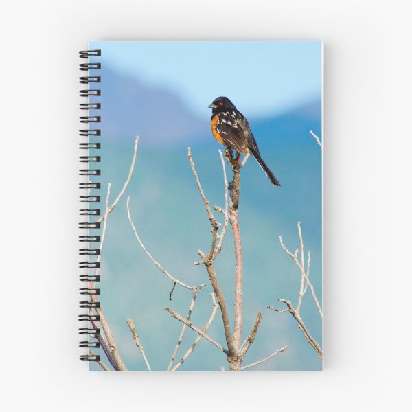 Artikelvorschau,  Ich sah einen Vogel, der mein Auge einfing, weil ich noch nie einen gesehen hatte entworfen und verkauft von John  De Bord Photography.