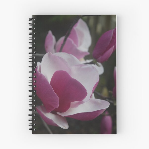 Item preview, Magnolia Full Bloom designed and sold by Catherine Davis.