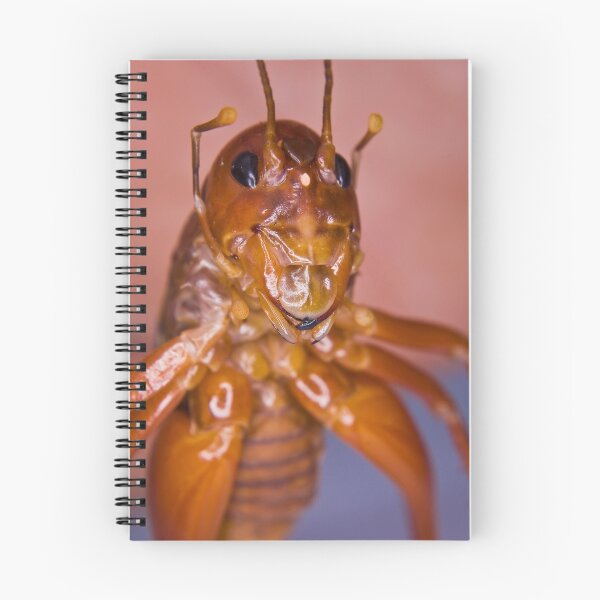 Item preview, The Parktown Prawn designed and sold by RatManDude.