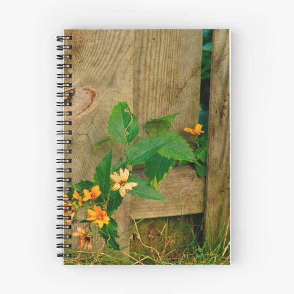 Item preview, Blossoms on the Fence designed and sold by Joy  Rector.