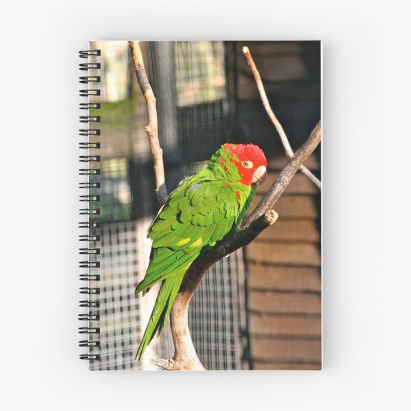 Item preview, Green bird designed and sold by lendale.