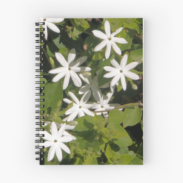 Item preview, Stars designed and sold by Bob Hardy.