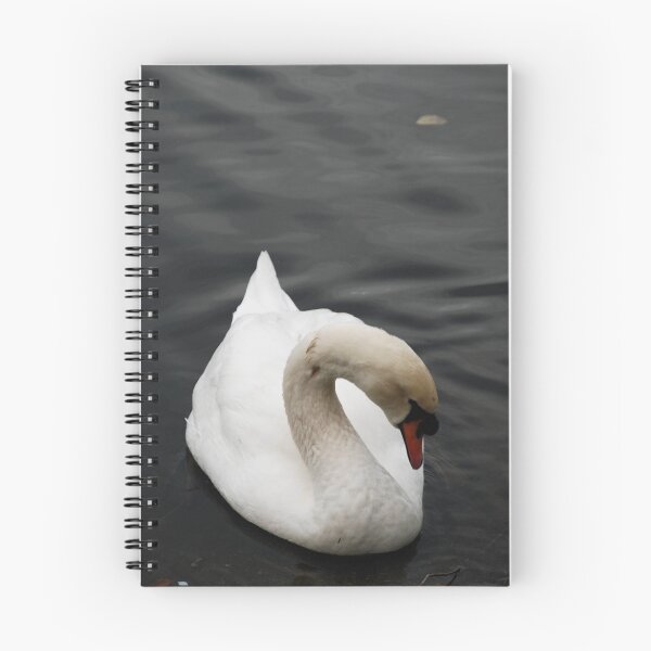 Item preview, Swan preening designed and sold by ecureuil.