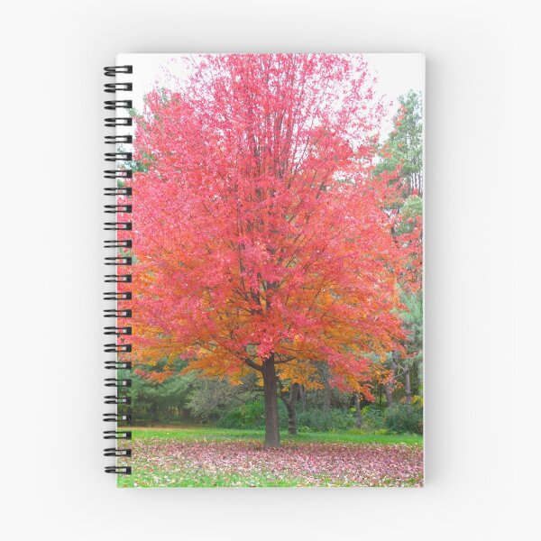 Item preview, The partnership of trees designed and sold by MarianBendeth.