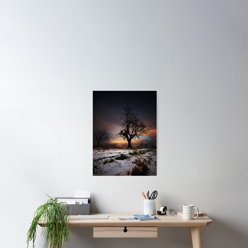 Christmas Trees Poster