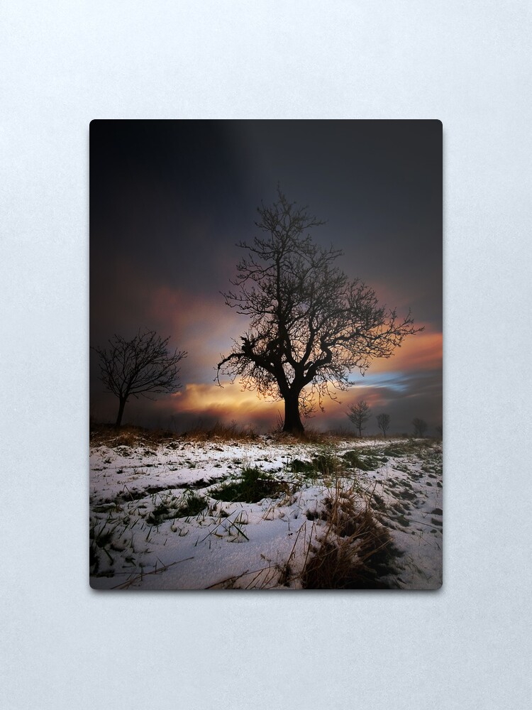 Alternate view of Christmas Trees Metal Print