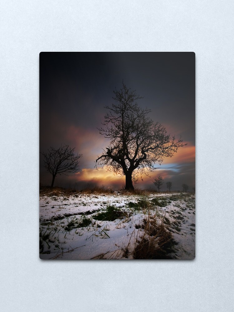 Alternate view of Christmas Trees Metal Print
