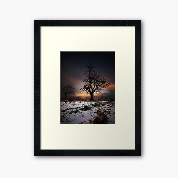 Christmas Trees Framed Art Print