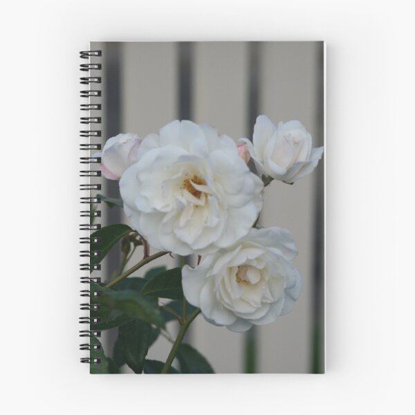 Item preview, Rose designed and sold by Debra LINKEVICS.