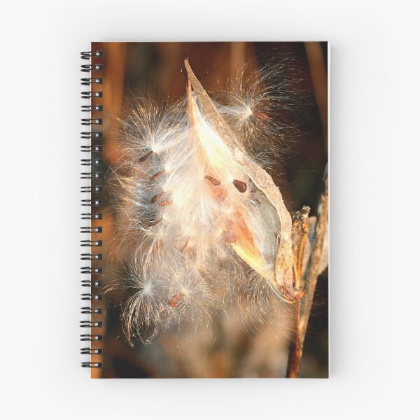 Item preview, REDREAMING MILKWEED IN GOLD designed and sold by REDREAMER.