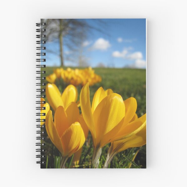 Item preview, spring sunshine, christchurch meadow designed and sold by catherineyoung.