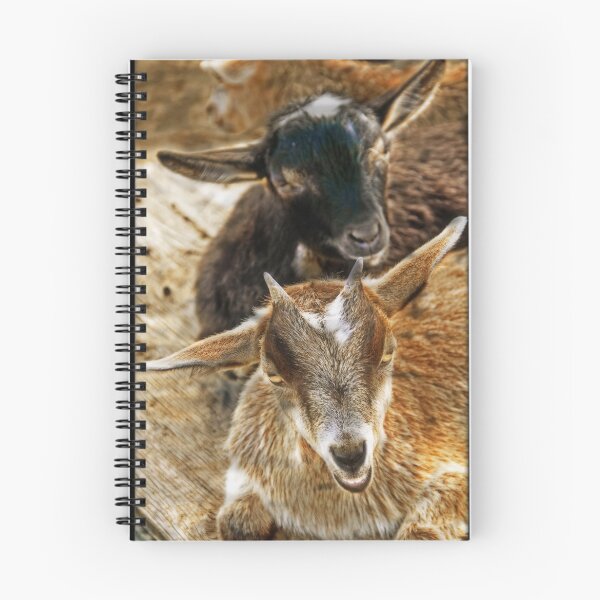 Item preview, Goats in the barnyard designed and sold by Tracy Riddell.