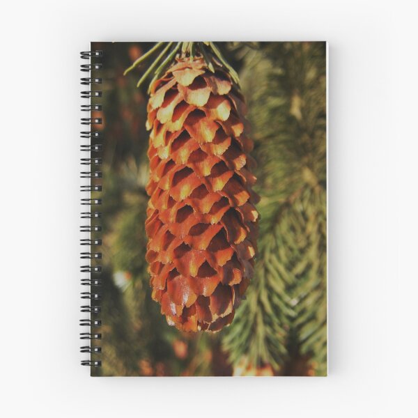 Artikelvorschau, Pine Cone entworfen und verkauft von ElsT.