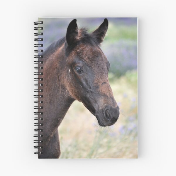 Item preview, Black Beauty's Filly Foal designed and sold by julie anne  grattan.