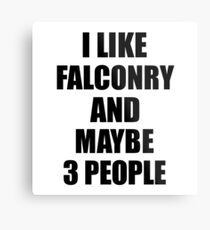 FALCONRY Lover Funny Gift Idea I Like Hobby Metal Print