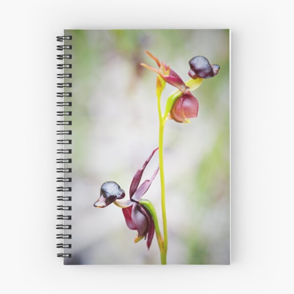 Item preview, Flying duck orchid - Caleana major designed and sold by Malcolm Garth.