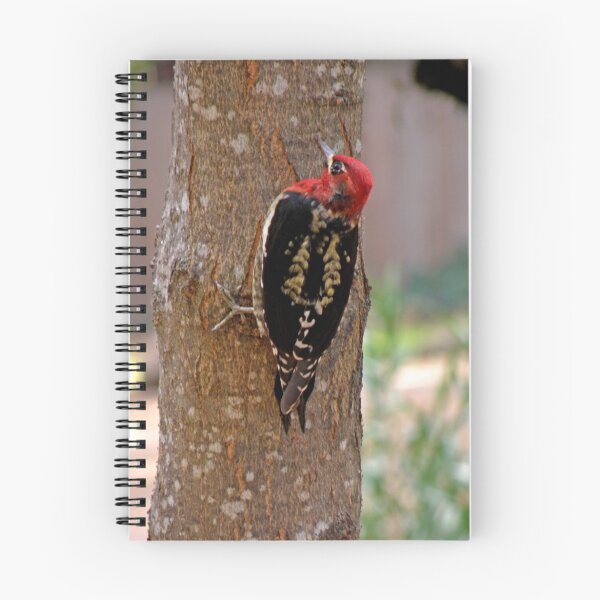Item preview, Red Breasted Sapsucker designed and sold by Patty Lewis.