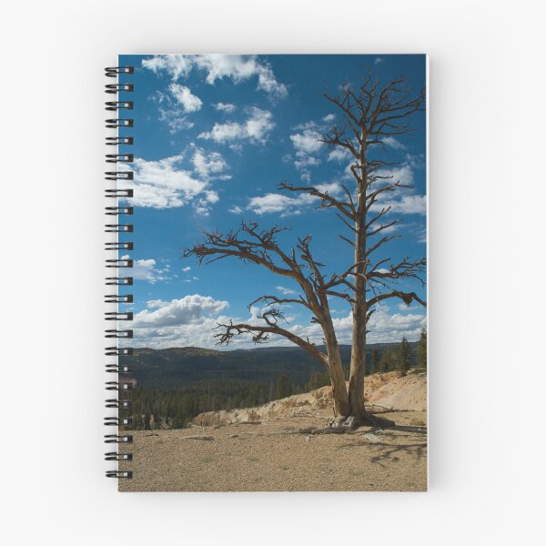 Artikelvorschau, Lonely Tree entworfen und verkauft von Marc McDonald.