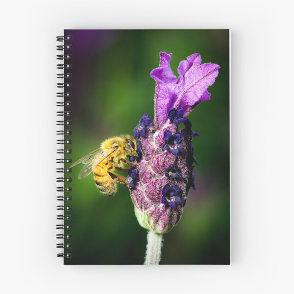 Item preview, ...oh, lavender... designed and sold by Geoffrey Dunn.