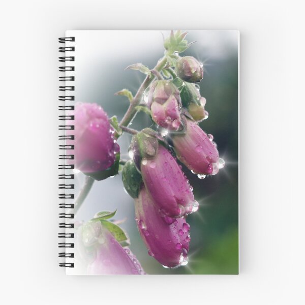 Aperçu de l'œuvre  juste après une petite douche d'été.

Pour plus d'images florales, visitez mon portfolio créée et vendue par Aj Finan.