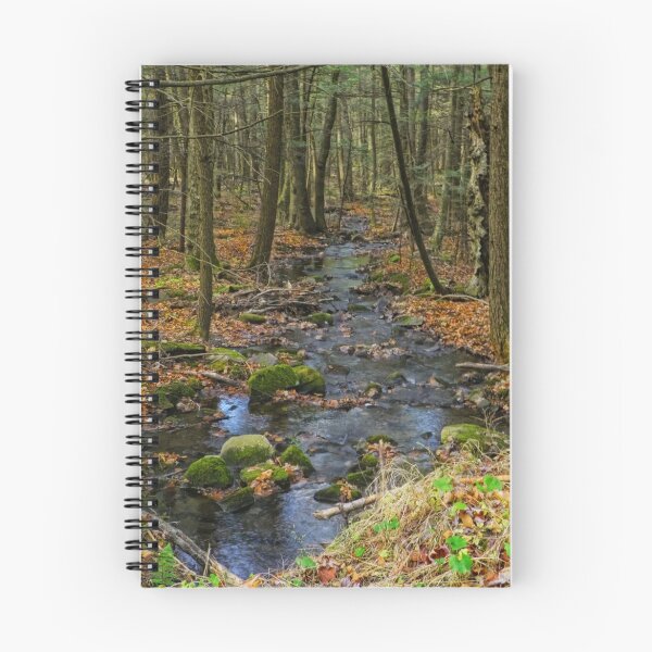 Item preview, Slowly Through the Forest designed and sold by Pamela Phelps.