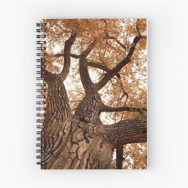Item preview, Giant Tree designed and sold by Bo Insogna.