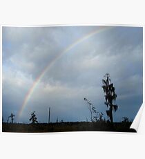 Rainbow over Econfina Creek 12/09 Poster