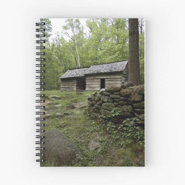 Aperçu de l'œuvre Cabane dans les bois créée et vendue par Jimmy Phillips.
