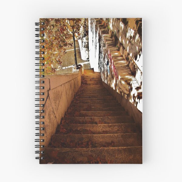 Item preview, Steps to The Tiber River designed and sold by stephenB.