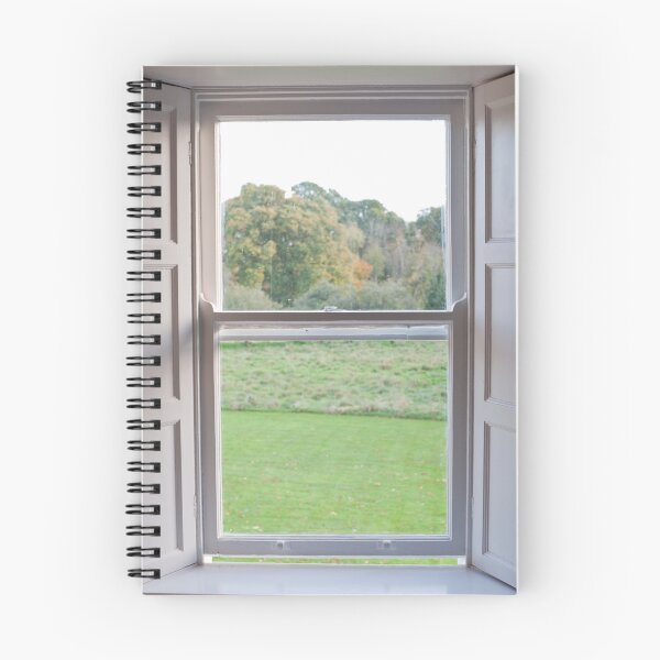 Item preview, the Window designed and sold by Skye Hohmann.