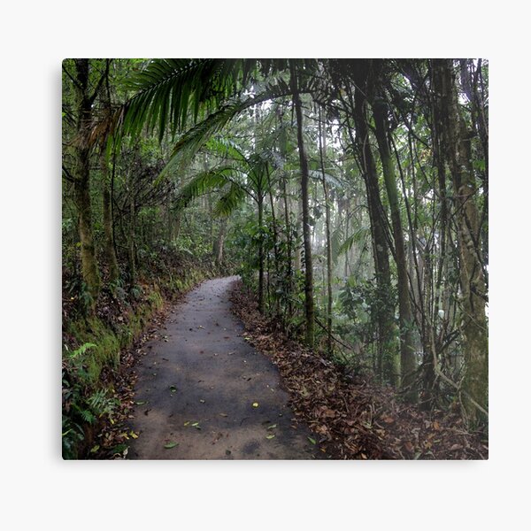 Item preview, Rainforest painting designed and sold by Jayson Gaskell Photography.