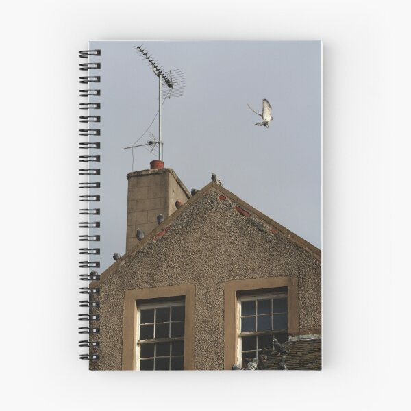 Item preview, On the Contrary designed and sold by Mandy Kerr.